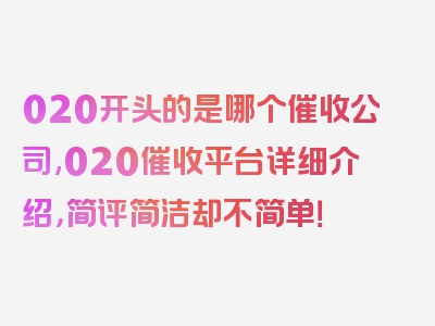 020开头的是哪个催收公司,020催收平台详细介绍，简评简洁却不简单！