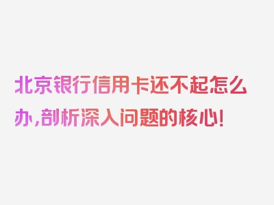 北京银行信用卡还不起怎么办，剖析深入问题的核心！