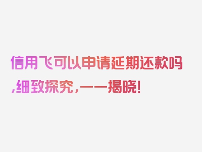 信用飞可以申请延期还款吗，细致探究，一一揭晓！