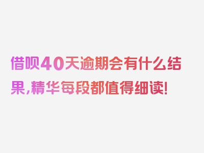 借呗40天逾期会有什么结果，精华每段都值得细读！