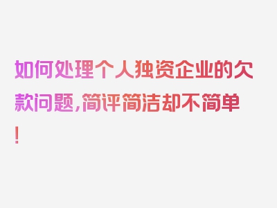 如何处理个人独资企业的欠款问题，简评简洁却不简单！