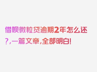 借呗微粒贷逾期2年怎么还?，一篇文章，全部明白！