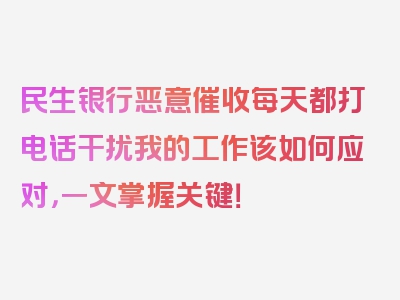 民生银行恶意催收每天都打电话干扰我的工作该如何应对，一文掌握关键！