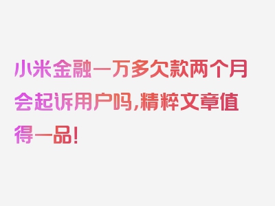 小米金融一万多欠款两个月会起诉用户吗，精粹文章值得一品！