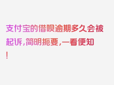 支付宝的借呗逾期多久会被起诉，简明扼要，一看便知！