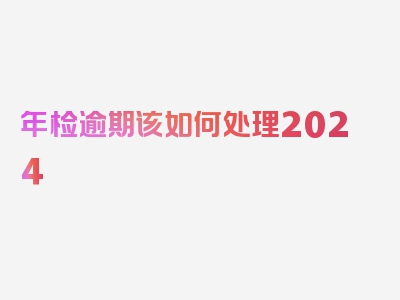 年检逾期该如何处理2024