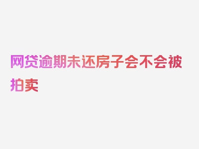 网贷逾期未还房子会不会被拍卖