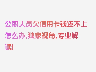 公职人员欠信用卡钱还不上怎么办，独家视角，专业解读！