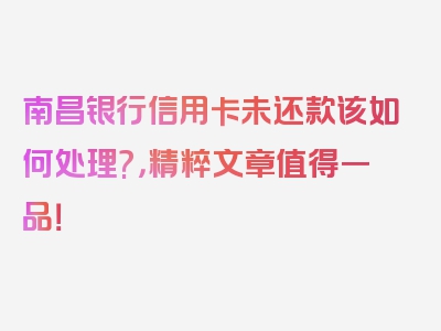 南昌银行信用卡未还款该如何处理?，精粹文章值得一品！