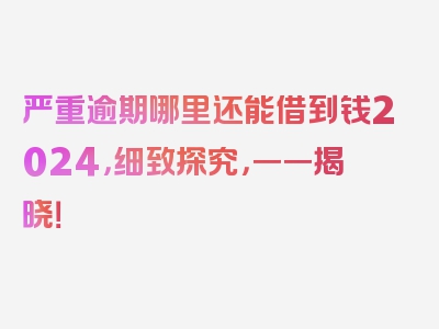 严重逾期哪里还能借到钱2024，细致探究，一一揭晓！