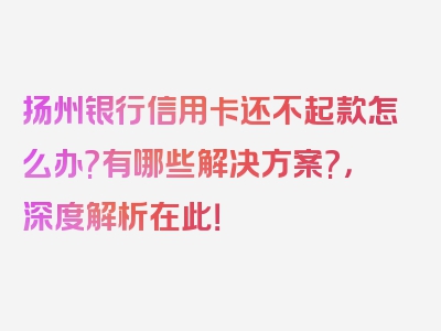 扬州银行信用卡还不起款怎么办?有哪些解决方案?，深度解析在此！