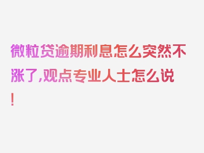 微粒贷逾期利息怎么突然不涨了，观点专业人士怎么说！