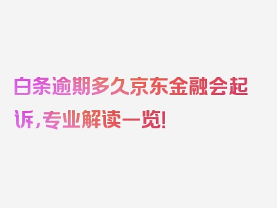 白条逾期多久京东金融会起诉，专业解读一览！