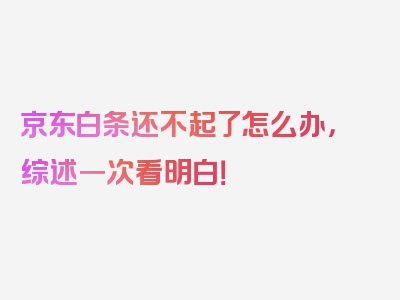 京东白条还不起了怎么办，综述一次看明白！