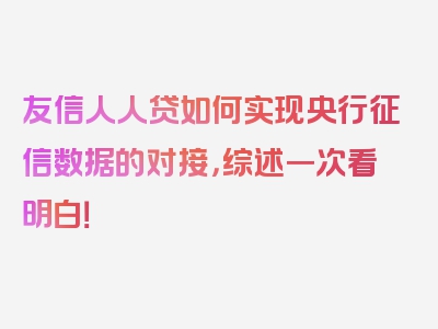 友信人人贷如何实现央行征信数据的对接，综述一次看明白！