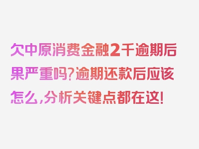 欠中原消费金融2千逾期后果严重吗?逾期还款后应该怎么，分析关键点都在这！