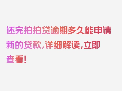 还完拍拍贷逾期多久能申请新的贷款，详细解读，立即查看！