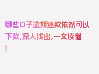 哪些口子逾期还款依然可以下款，深入浅出，一文读懂！