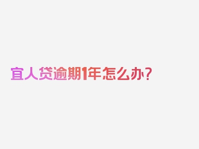 宜人贷逾期1年怎么办？