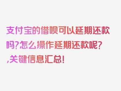 支付宝的借呗可以延期还款吗?怎么操作延期还款呢?，关键信息汇总！