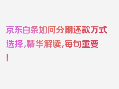 京东白条如何分期还款方式选择，精华解读，每句重要！