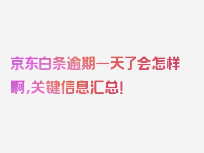 京东白条逾期一天了会怎样啊，关键信息汇总！