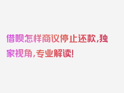 借呗怎样商议停止还款，独家视角，专业解读！