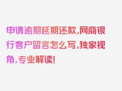 申请逾期延期还款,网商银行客户留言怎么写，独家视角，专业解读！