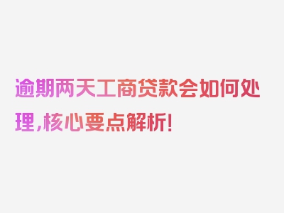 逾期两天工商贷款会如何处理，核心要点解析！