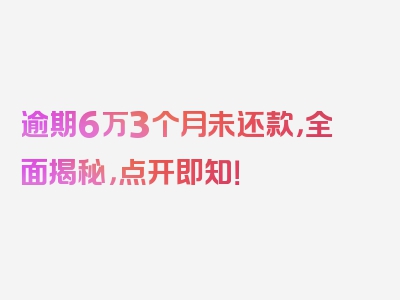 逾期6万3个月未还款，全面揭秘，点开即知！