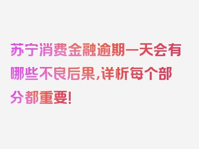 苏宁消费金融逾期一天会有哪些不良后果，详析每个部分都重要！