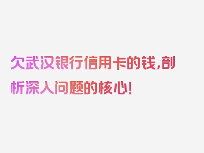 欠武汉银行信用卡的钱，剖析深入问题的核心！