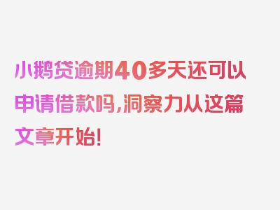 小鹅贷逾期40多天还可以申请借款吗，洞察力从这篇文章开始！