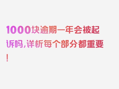 1000块逾期一年会被起诉吗，详析每个部分都重要！