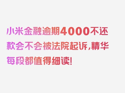 小米金融逾期4000不还款会不会被法院起诉，精华每段都值得细读！