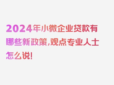 2024年小微企业贷款有哪些新政策，观点专业人士怎么说！