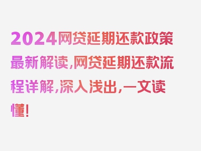 2024网贷延期还款政策最新解读,网贷延期还款流程详解，深入浅出，一文读懂！