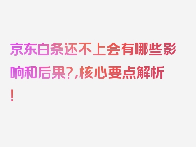 京东白条还不上会有哪些影响和后果?，核心要点解析！