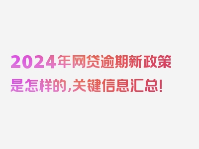 2024年网贷逾期新政策是怎样的，关键信息汇总！