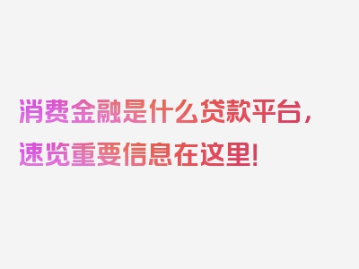 消费金融是什么贷款平台，速览重要信息在这里！