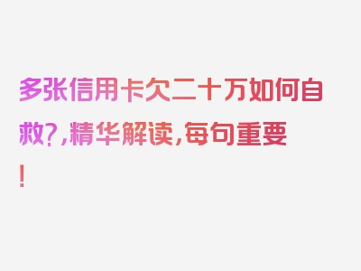 多张信用卡欠二十万如何自救?，精华解读，每句重要！