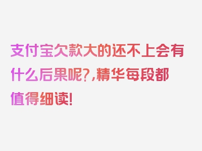 支付宝欠款大的还不上会有什么后果呢?，精华每段都值得细读！