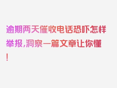 逾期两天催收电话恐吓怎样举报，洞察一篇文章让你懂！