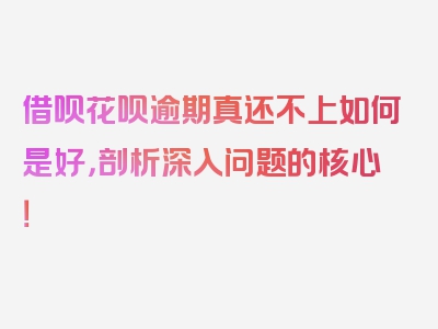 借呗花呗逾期真还不上如何是好，剖析深入问题的核心！