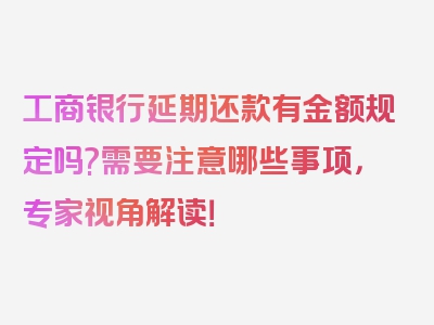 工商银行延期还款有金额规定吗?需要注意哪些事项，专家视角解读！