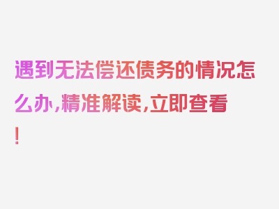 遇到无法偿还债务的情况怎么办，精准解读，立即查看！