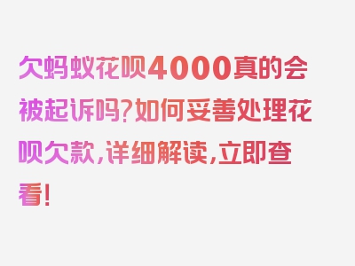 欠蚂蚁花呗4000真的会被起诉吗?如何妥善处理花呗欠款，详细解读，立即查看！