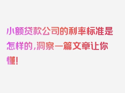 小额贷款公司的利率标准是怎样的，洞察一篇文章让你懂！