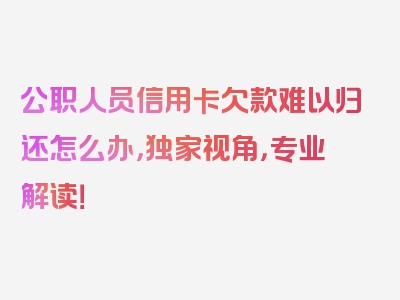 公职人员信用卡欠款难以归还怎么办，独家视角，专业解读！