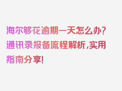 海尔够花逾期一天怎么办?通讯录报备流程解析，实用指南分享！